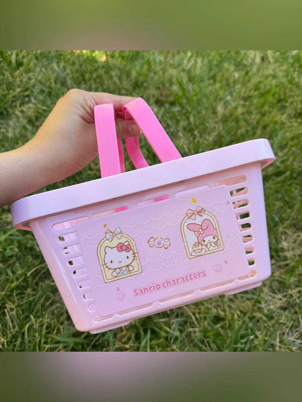 Sanrio Hello Kitty My Melody Pastel Pink Kawaii Mini Storage Shopping Basket